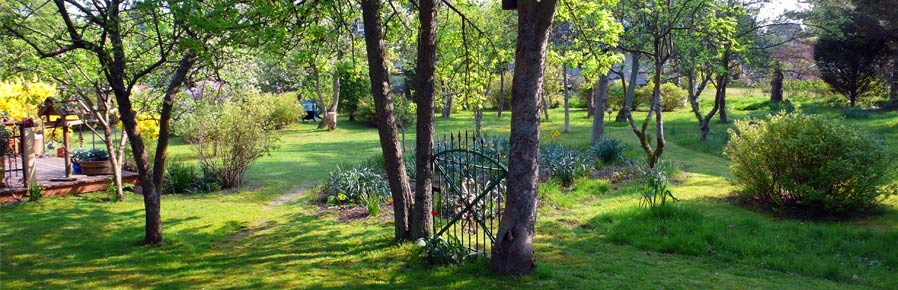 Amrum Hörnkhüs Garten Strandkorb