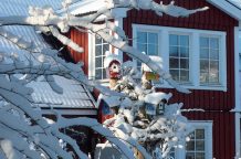 Amrum Ferienwohnung Garten