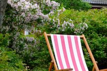 Amrum Ferienwohnung Garten