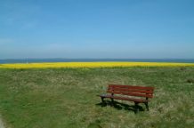 Amrum Impressionen