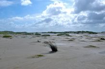 Amrum Impressionen